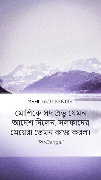গননা 36:10 BENIRV Bible Verse Image