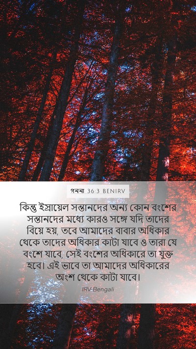 গননা 36:3 BENIRV Mobile Phone Wallpaper - কিন্তু ইস্রায়েল - Mobile Bible Verse Wallpaper