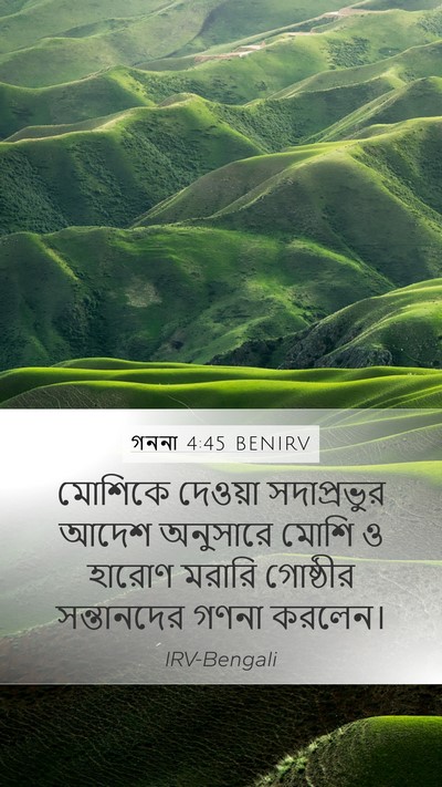 গননা 4:45 BENIRV Bible Verse Image