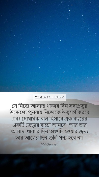 গননা 6:12 BENIRV Bible Verse Image