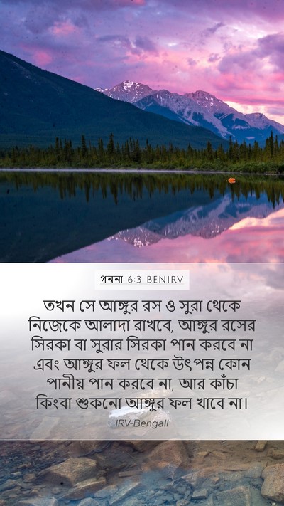 গননা 6:3 BENIRV Mobile Phone Wallpaper - তখন সে আঙ্গুর রস ও - Mobile Bible Verse Wallpaper