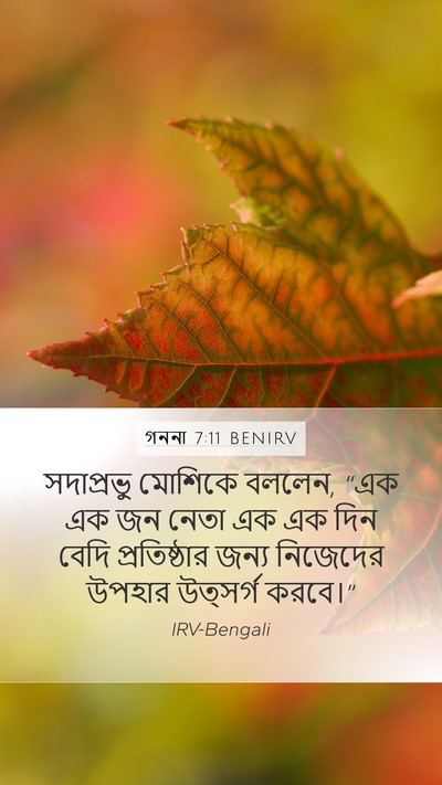গননা 7:11 BENIRV Mobile Phone Wallpaper - সদাপ্রভু মোশিকে - Mobile Bible Verse Wallpaper