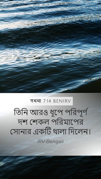 গননা 7:14 BENIRV Bible Verse Image