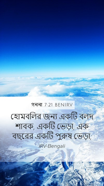 গননা 7:21 BENIRV Mobile Phone Wallpaper - হোমবলির জন্য একটি - Mobile Bible Verse Wallpaper