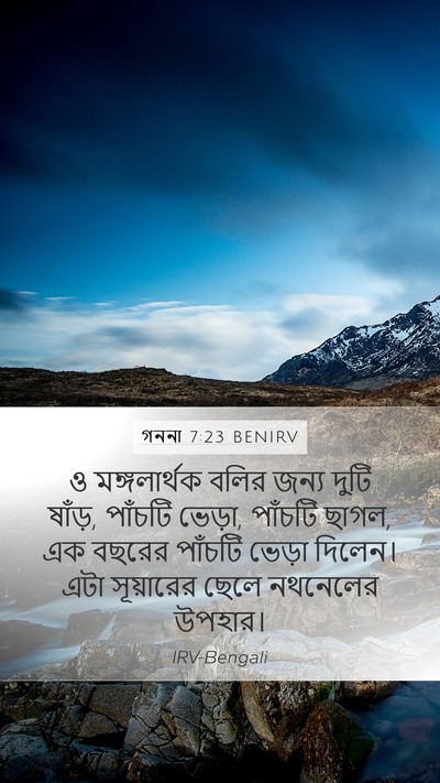 গননা 7:23 BENIRV Bible Verse Image