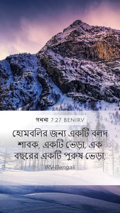 গননা 7:27 BENIRV Bible Verse Image