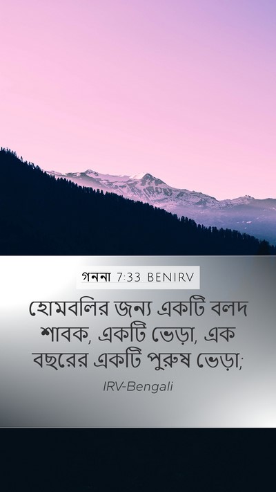 গননা 7:33 BENIRV Mobile Phone Wallpaper - হোমবলির জন্য একটি - Mobile Bible Verse Wallpaper