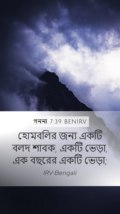 গননা 7:39 BENIRV Mobile Phone Wallpaper - হোমবলির জন্য একটি - Mobile Bible Verse Wallpaper