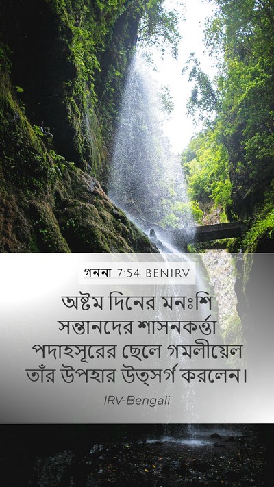 গননা 7:54 BENIRV Bible Verse Image