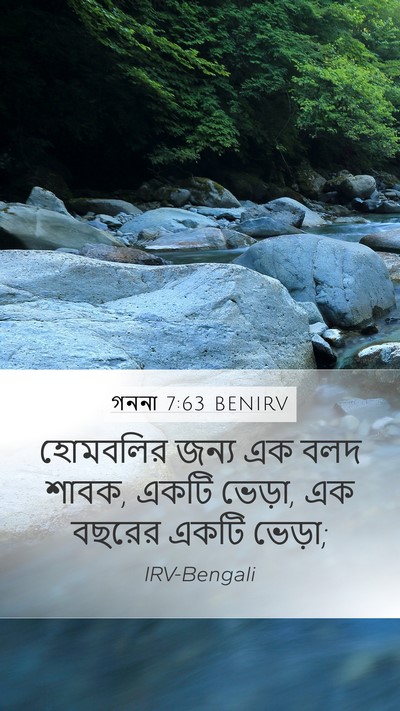 গননা 7:63 BENIRV Mobile Phone Wallpaper - হোমবলির জন্য এক - Mobile Bible Verse Wallpaper