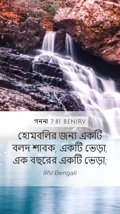 গননা 7:81 BENIRV Mobile Phone Wallpaper - হোমবলির জন্য একটি - Mobile Bible Verse Wallpaper