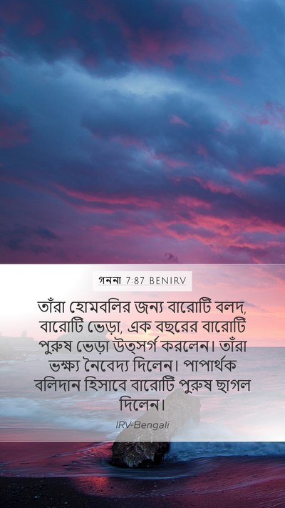 গননা 7:87 BENIRV Mobile Phone Wallpaper - তাঁরা হোমবলির - Mobile Bible Verse Wallpaper