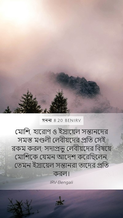 গননা 8:20 BENIRV Bible Verse Image