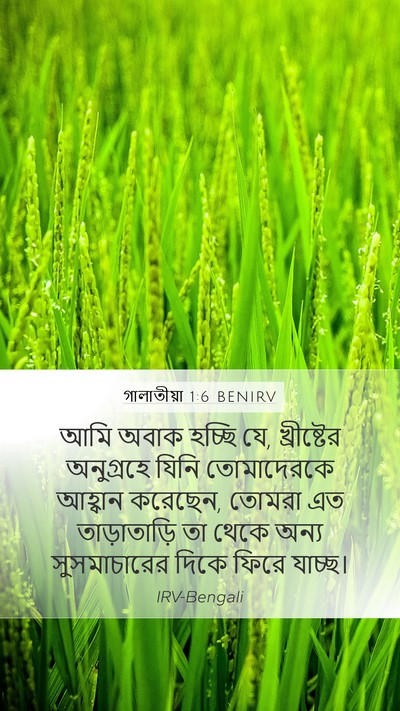 গালাতীয়া 1:6 BENIRV Bible Verse Image