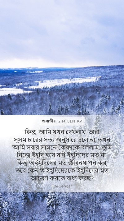 গালাতীয়া 2:14 BENIRV Bible Verse Image