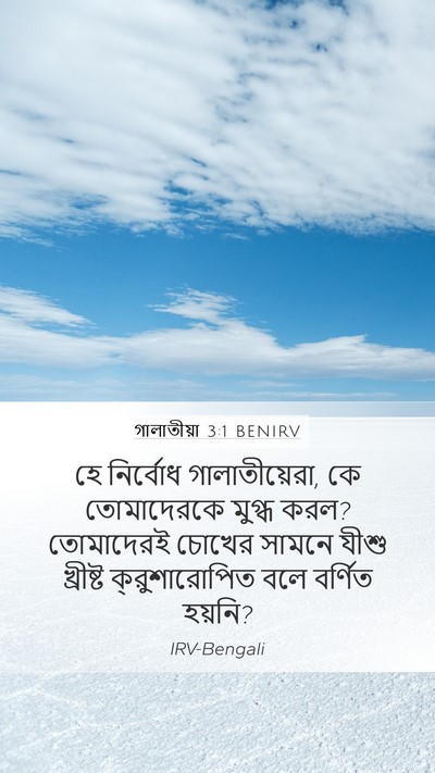 গালাতীয়া 3:1 BENIRV Bible Verse Image