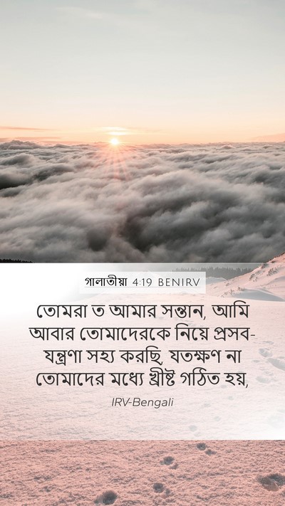 গালাতীয়া 4:19 BENIRV Bible Verse Image