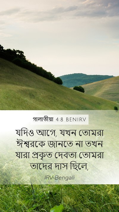গালাতীয়া 4:8 BENIRV Bible Verse Image