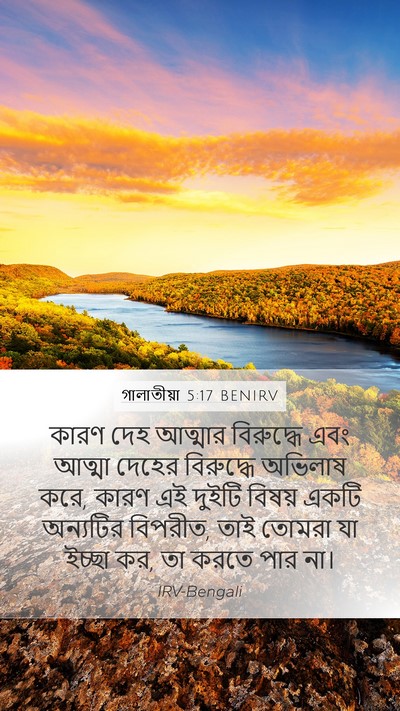 গালাতীয়া 5:17 BENIRV Bible Verse Image