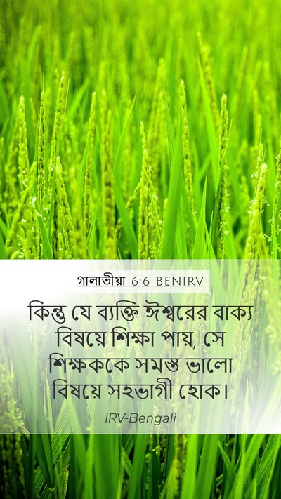 গালাতীয়া 6:6 BENIRV Bible Verse Image