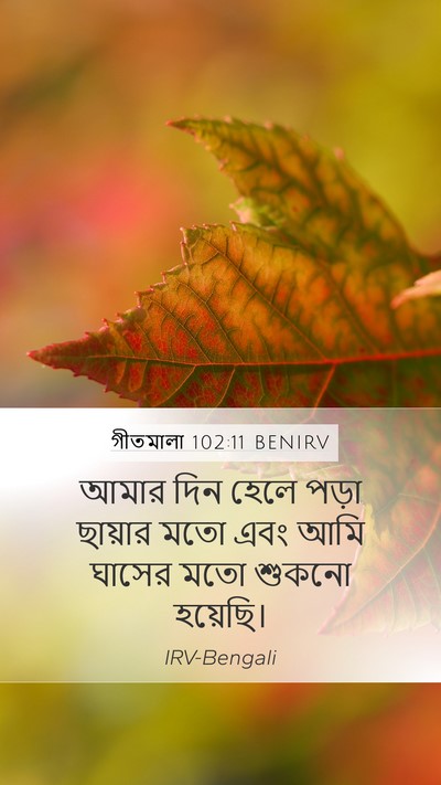 গীতমালা 102:11 BENIRV Bible Verse Image