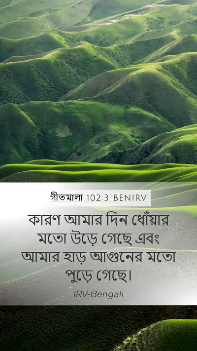 গীতমালা 102:3 BENIRV Bible Verse Image