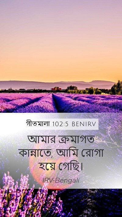 গীতমালা 102:5 BENIRV Bible Verse Image
