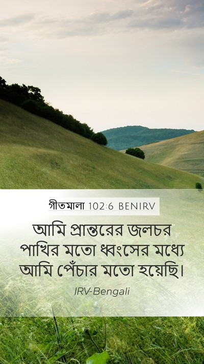 গীতমালা 102:6 BENIRV Mobile Phone Wallpaper - আমি প্রান্তরের - Mobile Bible Verse Wallpaper