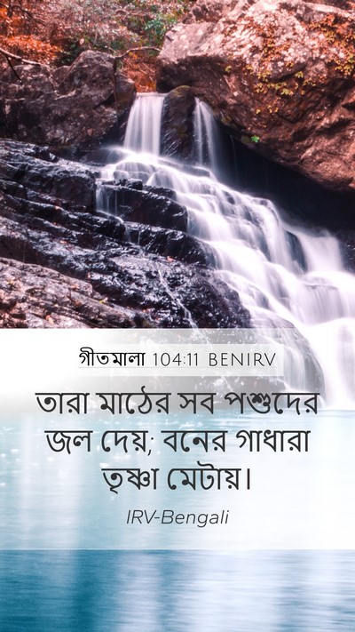 গীতমালা 104:11 BENIRV Mobile Phone Wallpaper - তারা মাঠের সব - Mobile Bible Verse Wallpaper