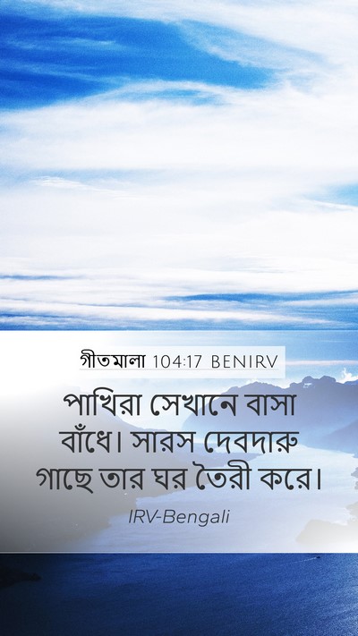 গীতমালা 104:17 BENIRV Bible Verse Image