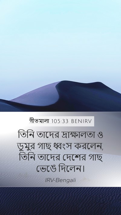 গীতমালা 105:33 BENIRV Bible Verse Image