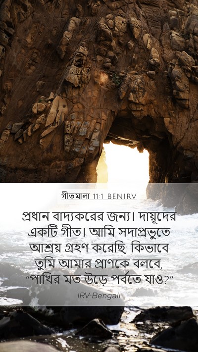 গীতমালা 11:1 BENIRV Mobile Phone Wallpaper - প্রধান বাদ্যকরের - Mobile Bible Verse Wallpaper