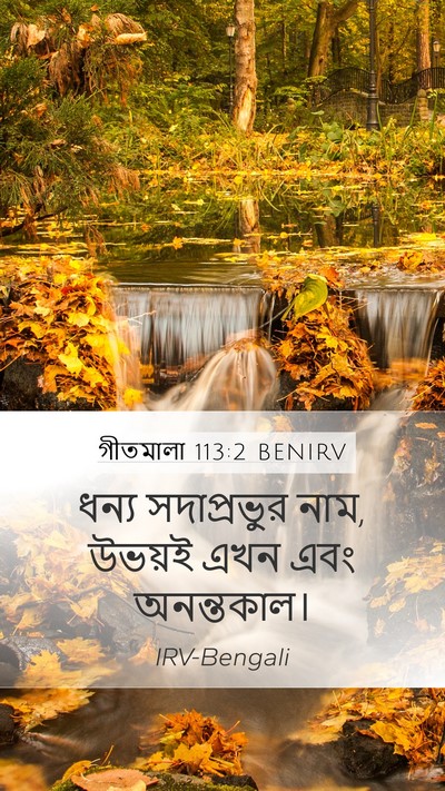 গীতমালা 113:2 BENIRV Bible Verse Image