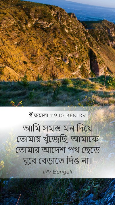গীতমালা 119:10 BENIRV Bible Verse Image