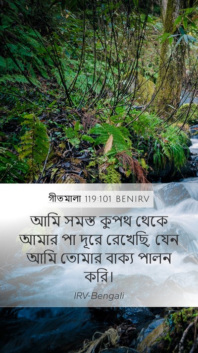 গীতমালা 119:101 BENIRV Mobile Phone Wallpaper - আমি সমস্ত কুপথ - Mobile Bible Verse Wallpaper