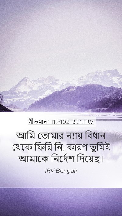 গীতমালা 119:102 BENIRV Bible Verse Image