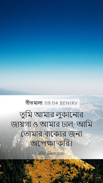 গীতমালা 119:114 BENIRV Bible Verse Image