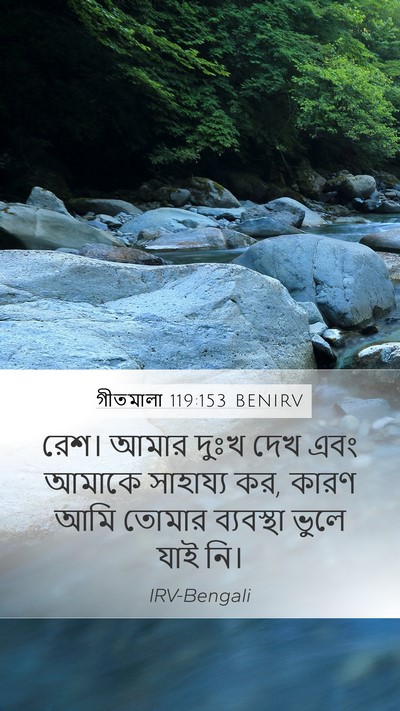 গীতমালা 119:153 BENIRV Bible Verse Image