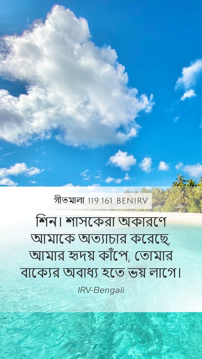 গীতমালা 119:161 BENIRV Bible Verse Image