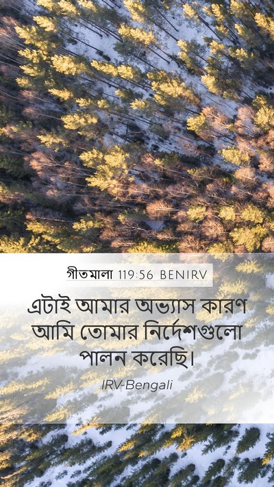 গীতমালা 119:56 BENIRV Mobile Phone Wallpaper - এটাই আমার অভ্যাস - Mobile Bible Verse Wallpaper