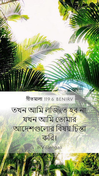 গীতমালা 119:6 BENIRV Bible Verse Image
