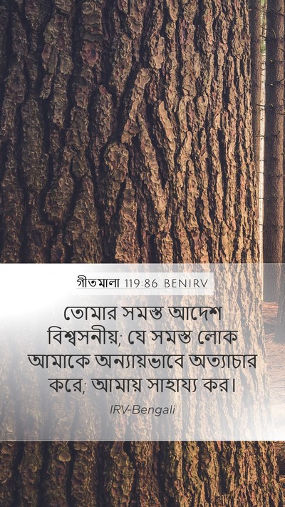 গীতমালা 119:86 BENIRV Bible Verse Image