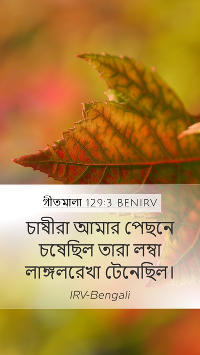 গীতমালা 129:3 BENIRV Bible Verse Image