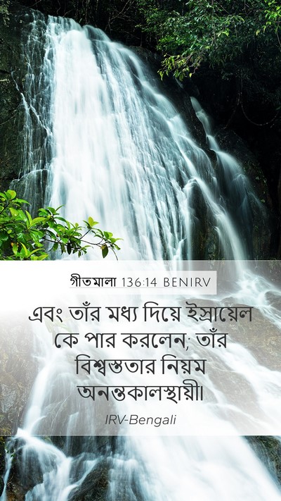 গীতমালা 136:14 BENIRV Mobile Phone Wallpaper - এবং তাঁর মধ্য - Mobile Bible Verse Wallpaper