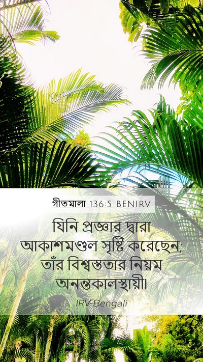 গীতমালা 136:5 BENIRV Bible Verse Image