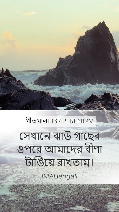 গীতমালা 137:2 BENIRV Mobile Phone Wallpaper - সেখানে ঝাউ গাছের - Mobile Bible Verse Wallpaper