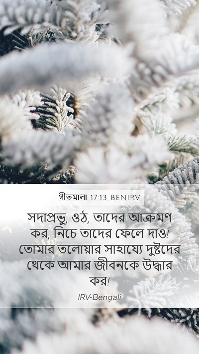 গীতমালা 17:13 BENIRV Bible Verse Image