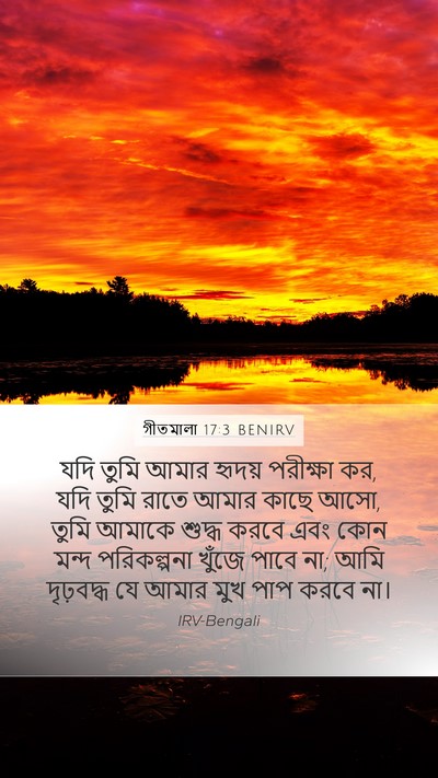 গীতমালা 17:3 BENIRV Bible Verse Image