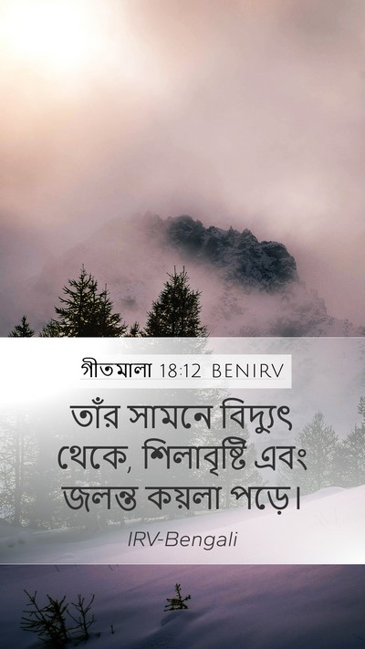 গীতমালা 18:12 BENIRV Bible Verse Image