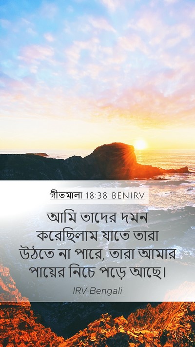 গীতমালা 18:38 BENIRV Bible Verse Image